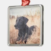 Zwarte labrador in droog gras metalen ornament (Links)