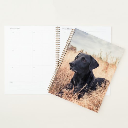 Zwarte labrador in droog gras planner (Display)
