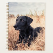Zwarte labrador in droog gras planner (Voorkant)