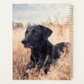 Zwarte labrador in droog gras planner (Achterkant)