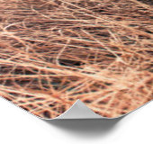 Zwarte labrador in droog gras poster (Hoek)