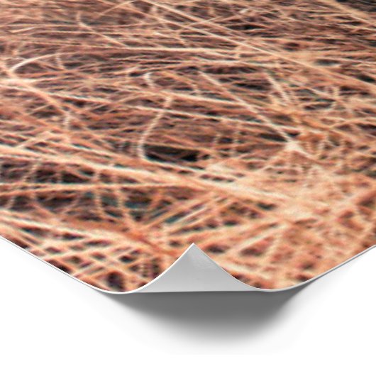 Zwarte labrador in droog gras poster (Hoek)