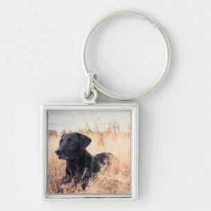 Zwarte labrador in droog gras sleutelhanger