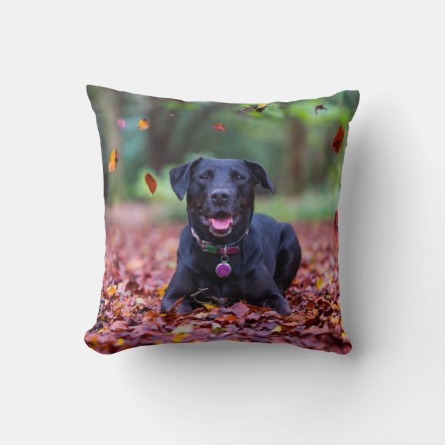 Zwarte Labrador in herfstbladeren Kussen (Voorkant)