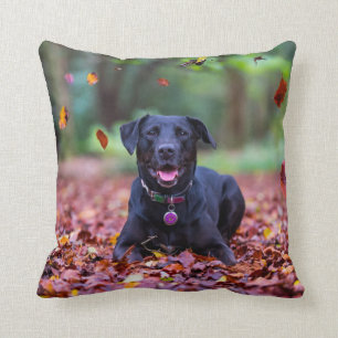 Zwarte Labrador in herfstbladeren Kussen