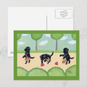 Zwarte labrador in het bos briefkaart (Voorkant / Achterkant)