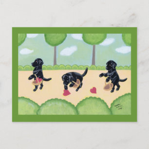 Zwarte labrador in het bos briefkaart