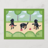 Zwarte labrador in het bos briefkaart (Voorkant)