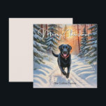 Zwarte Labrador In Sneeuw Kerstmis Prettig Kerstfe Feestdagenkaart<br><div class="desc">Deze stijlvolle kerstkaart toont een zwarte labrador die geniet van een wandeling door een besneeuwd landschap, met rode bessen en groene bomen op een zonnige dag. Bovenaan staat de groet 'Prettig Kerstfeest' in stijlvolle scripttypografie, terwijl de tekst onderaan kan worden gepersonaliseerd met uw naam/namen of andere woorden. Vol hondencharme is...</div>