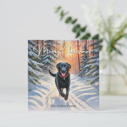 Zwarte Labrador In Sneeuw Kerstmis Prettig Kerstfe Feestdagenkaart (Staand voorkant)