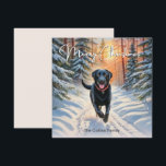 Zwarte Labrador In Sneeuw Kerstmis Prettig Kerstfe Feestdagenkaart<br><div class="desc">Deze stijlvolle kerstkaart toont een zwarte labrador die geniet van een wandeling door een besneeuwd landschap, met rode bessen en groene bomen op een zonnige dag. Bovenaan staat de groet 'Prettig Kerstfeest' in stijlvolle scripttypografie, terwijl de tekst onderaan kan worden gepersonaliseerd met uw naam/namen of andere woorden. Vol hondencharme is...</div>