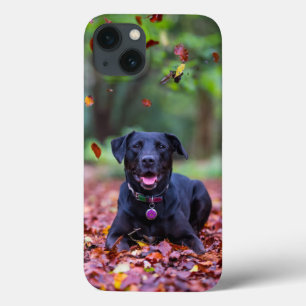 Zwarte labrador in valkelingen Case-Mate iPhone case