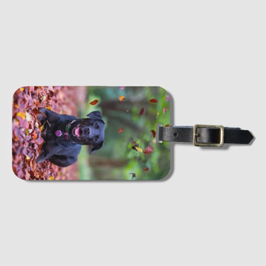 Zwarte labrador in valleien bagagelabel (Voorkant (horizontaal))
