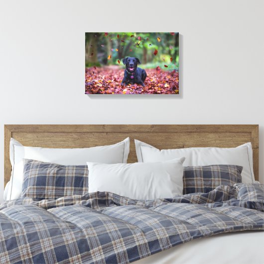 Zwarte labrador in valleien canvas afdruk (Insitu (Slaapkamer))