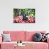 Zwarte labrador in valleien canvas afdruk (Insitu (Woonkamer))