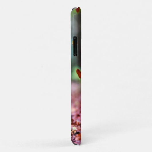 Zwarte labrador in valleien Case-Mate iPhone case (Achterkant/rechts)