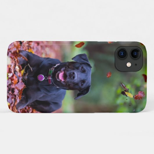 Zwarte labrador in valleien Case-Mate iPhone case (Achterkant (horizontaal))