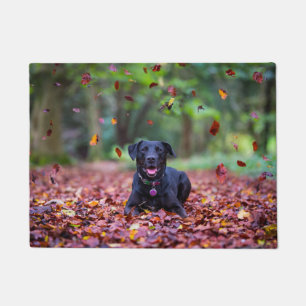 Zwarte labrador in valleien deurmat