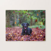 Zwarte labrador in valleien legpuzzel (Horizontaal)