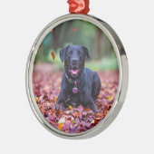Zwarte labrador in valleien metalen ornament (Links)