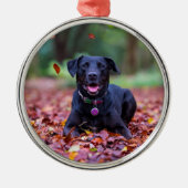 Zwarte labrador in valleien metalen ornament (Voorkant)