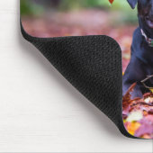 Zwarte labrador in valleien muismat (Hoek)