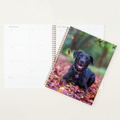 Zwarte labrador in valleien planner (Display)