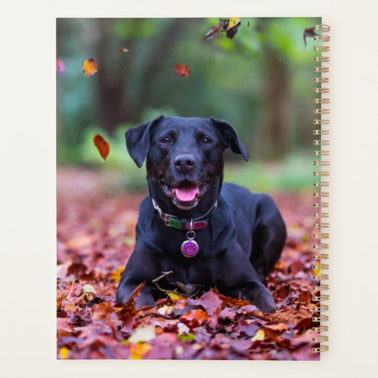 Zwarte labrador in valleien planner (Achterkant)