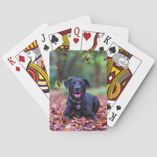 Zwarte labrador in valleien pokerkaarten (Achterkant)
