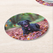 Zwarte labrador in valleien ronde kartonnen onderzetter (Gebogen)