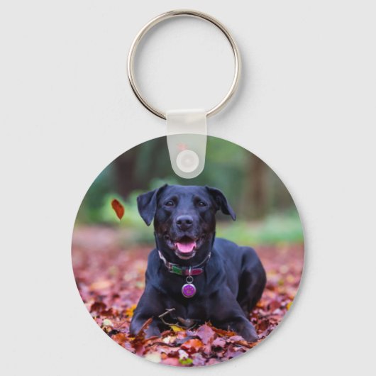Zwarte labrador in valleien sleutelhanger (Voorkant)
