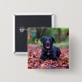 Zwarte labrador in valleien vierkante button 5,1 cm (Voorkant /achterkant)