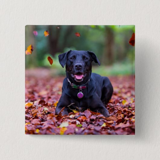 Zwarte labrador in valleien vierkante button 5,1 cm (Voorkant)