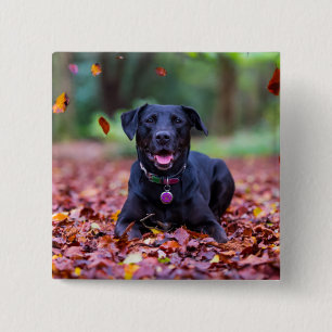 Zwarte labrador in valleien vierkante button 5,1 cm