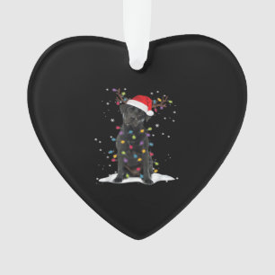 Zwarte Labrador Kersthond Kerstboom Licht Klas Ornament