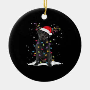 Zwarte Labrador Kersthond Kerstboom Licht Klasse Keramisch Ornament