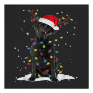 Zwarte Labrador Kersthond Kerstboom Licht Klasse Perfect Poster
