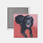 Zwarte labrador lachend magneet (Voorkant / Achterkant)