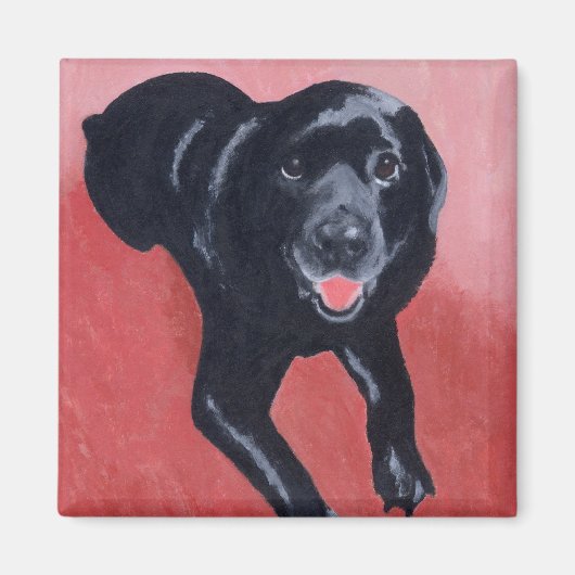 Zwarte labrador lachend magneet (Voorkant)