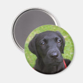 Zwarte Labrador magneet (Voorkant / Achterkant)