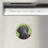 Zwarte Labrador magneet (Insitu (Vaatwasser))