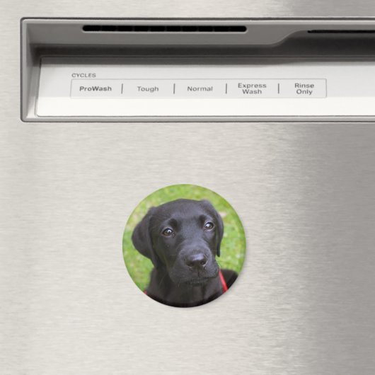 Zwarte Labrador magneet (Insitu (Vaatwasser))