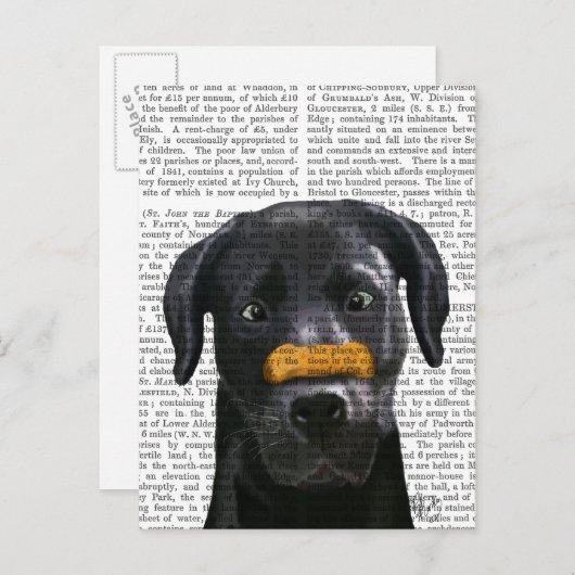 Zwarte labrador met bot op neus briefkaart (Voorkant / Achterkant)