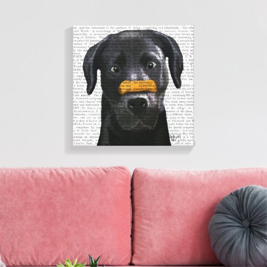 Zwarte labrador met bot op neus canvas afdruk (Insitu (Woonkamer))