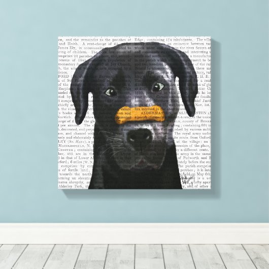 Zwarte labrador met bot op neus canvas afdruk (Insitu (Houten vloer))