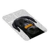 Zwarte labrador met bot op neus magneet (Rechterzijde)