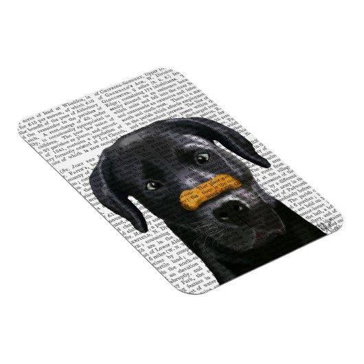 Zwarte labrador met bot op neus magneet (Rechterzijde)