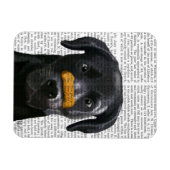 Zwarte labrador met bot op neus magneet (Horizontaal)