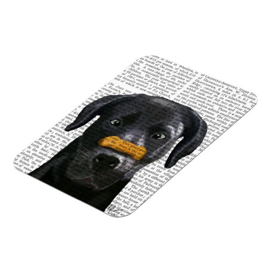 Zwarte labrador met bot op neus magneet (Linkerzijde)