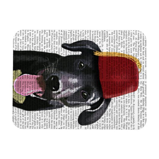 Zwarte labrador met fez magneet (Horizontaal)